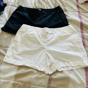 Ann Taylor LOFT Shorts Bundle